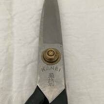 TA■ 美品 玉菊 洋裁挟 全長21cm 刃渡り9.5cm 高級 箱入り カネイ製作所 ハサミ 裁縫道具 裁ち鋏 裁縫 刺繍 はさみ タグ付き_画像7