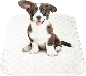 INULABO( dog labo)... pet sheet wide size .... mat pet mat circle ..... repetition possible to use [ health 