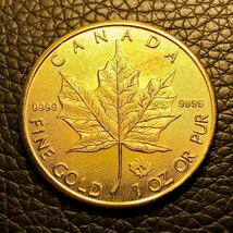 外国古銭　カナダ　エリザベス2世記念　2021年 小型金貨　メイプルリーフ金貨 _画像1
