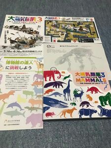 新品 大哺乳類展3 図録 公式図録 パンフレット 付属