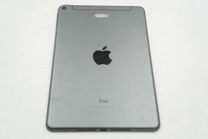 ★☆全額返金保証！最速発送！【iPad mini 第5世代 Wi-Fi+Cellular 64GB 動作確認済 94%】★☆（202405-20018-PCkaitori）