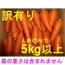徳島産／ハウス栽培　人参「彩誉」　訳あり品（曲がり・角など）　5kg以上_画像1