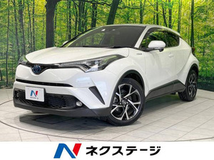 [Открытые затраты]: 2019 C-HR G