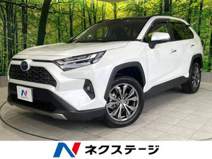 【諸費用コミ】:令和1993 RAV4 HybridG