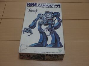  Blue Gale Xabungle that time thing 1/100 Capri ko type not yet constructed 