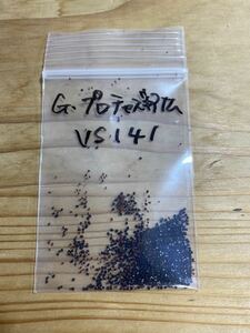【種子30粒】Gymnocalycium prochazkianum vs 141 ギムノカリキウム　プロチャズキアナム　サボテン　白粉系　