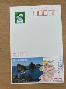 額面41円はがき　エコーはがき　未使用はがき　広告はがき　堂ヶ島温泉旅館組合　温泉郷　