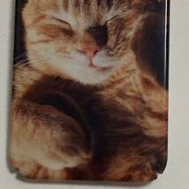 新品 iphoneケース 7/8/SE2.3用 実写の猫のスマホケース　cat ネコかわいい　可愛い 癒し 写真 cat アニマル　動物 トラ猫　茶トラ_画像4