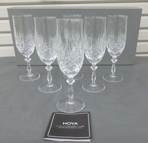 ☆未使用☆HOYA CRYSTAL/ホヤ クリスタル ワイングラス シャンパングラス 6客セット 箱付き ビールグラス_画像1