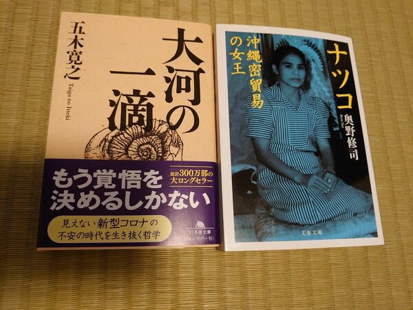 小説 2冊 大河の一滴 ナツコ