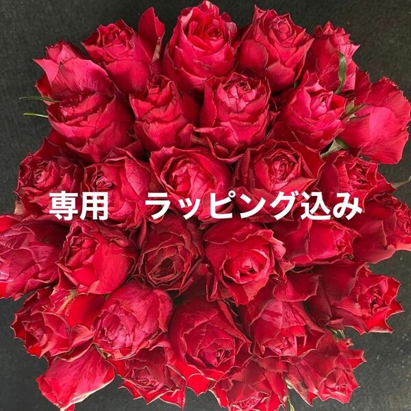 バラ（切り花 ・生花）フルフル（赤絞り）　30㎝SM 30本　産地直送！鮮度抜群！赤薔薇　花束