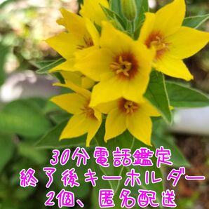 【電話占い30分】+【匿名配送:キーホルダー×2個セット】