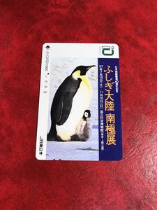 C484 1 hole used . io-card JR East Japan ... large land south ultimate exhibition penguin 