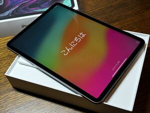 iPad Pro 11インチ Wi-Fi 64GB スペースグレイ MTXN2J/A 美品です