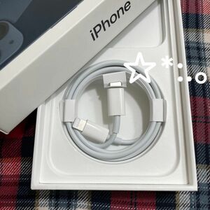 Apple iPhone充電器 タイプC ライトニングケーブル　純正品