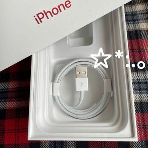 Apple iPhone充電器　USB ライトニングケーブル　純正品