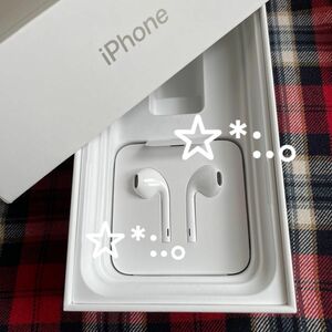 Apple iPhoneイヤホン ライトニングケーブル　アップル 純正品