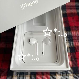 Apple iPhone イヤホン ライトニング 純正品