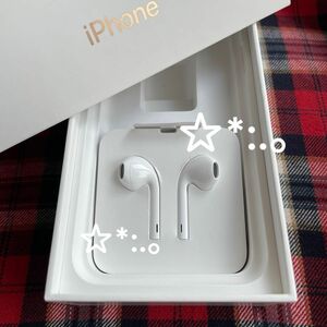 Apple iPhone イヤフォン ライトニング　純正品