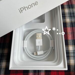 Apple iphone充電器 USBケーブル