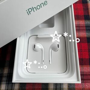 Apple iPhone イヤホン ライトニング　純正品