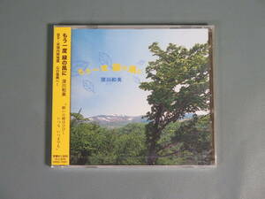 CD② 深川和美【もう一度緑の風に】岩手・宮城内陸地震復興ソング HIRO-7001 梅津和時 未開封