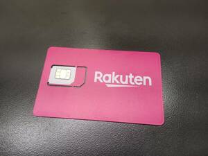  Rakuten акционер гостеприимство pSIM