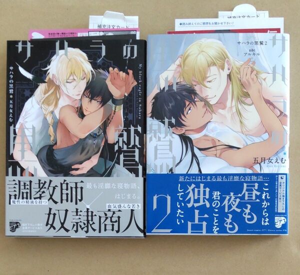 サハラの黒鷲1.2巻 五月女えむ