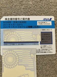 ANA株主優待券1枚　2024.5.31まで　