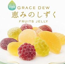 西洋菓子鹿鳴館 恵みのしずく 44個入(ギフト 12種類フルーツゼリー 手土産 スイーツ 一口ゼリー）_画像2