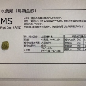 オリエンタル固形飼料ＭＳ 10kg【鳥類・水禽(水きん：アヒル・コールダックなど）類など用飼料（フード）／動物園・業務用】 送料無料！の画像4