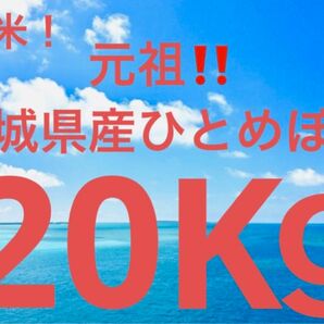 AU様専用です！宮城県産ひとめぼれ無洗米21kg