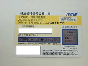 ANA・全日空株主優待券　複数枚あり　有効期限2024年11月30日 