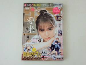 週刊少年サンデー 2024年5月22日 24号 no.24 愛来 巻頭グラビア