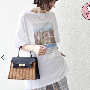 シップス　完売カラー　オーガニックコットン フォト ショート スリーブ TEE 新品タグ付き　2024SS 今期最新　Fサイズ　