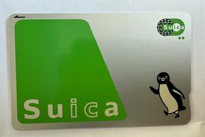 Suica 無記名 未使用（新品）