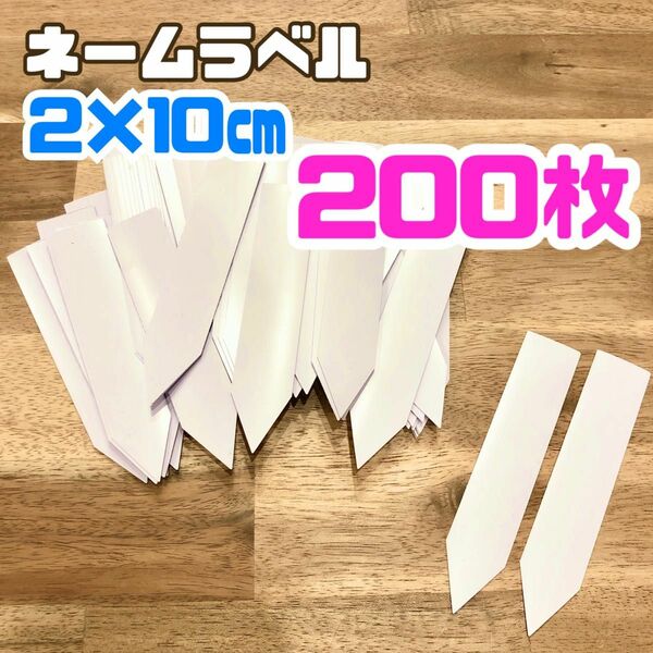 200枚 園芸 ネーム ラベル 2×10 ホワイト 白 観葉植物 