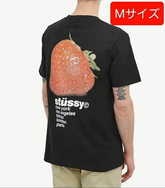 STUSSY STRAWBERRY TEE　ステューシー ストロベリー ティーMサイズ　ユニセックス