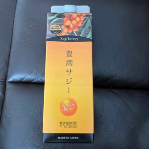 豊潤サジー フィネス 鉄分 ドリンク ビタミンC サジー原料 オーガニック 紙パックタイプ 1000ml