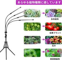 トレンド LED植物成長ライト | 自動スイッチタイミング機能 | 屋内栽培用_画像7