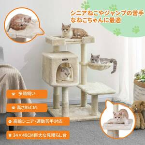  low .. step difference . exist cat tower,. cat .sinia cat oriented 