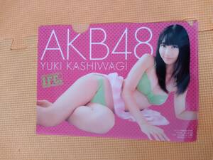 *AKB Kashiwagi Yuki ② B5 stamp clear file Young Champion appendix unused goods *