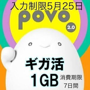 povo2.0プロモコード1GB 入力期限2024年5月25日 消費期限7日間