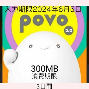  povo2.0プロモコード300MB 入力期限2024年6月 5日 消費期限3日間の画像1