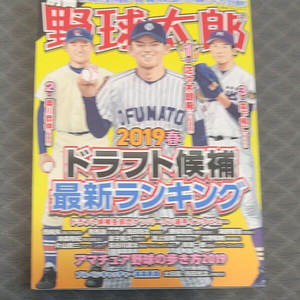 別冊野球太郎 2019春