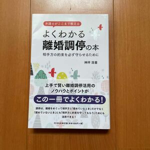 弁護士がここまで教えるよくわかる離婚調停の本　相手方の約束を必ず守らせるために （ＤＯ　ＢＯＯＫＳ） 神坪浩喜／著