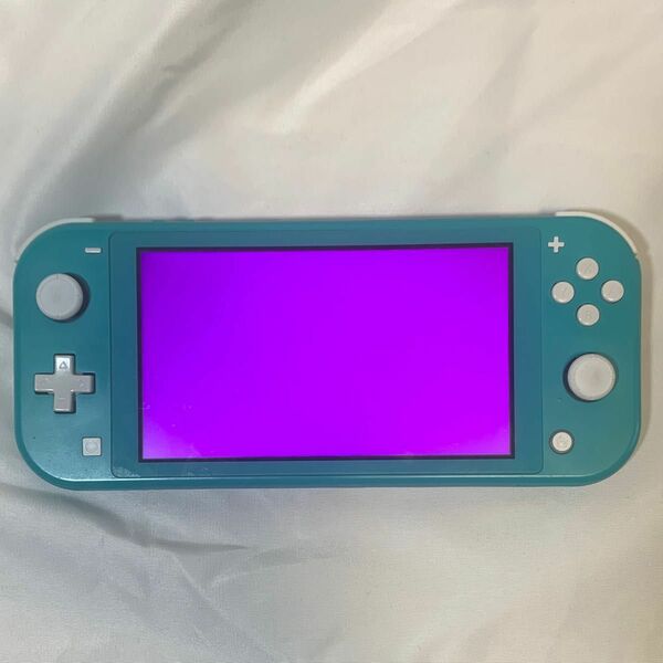 ジャンク　 Nintendo Switch Lite 本体のみ ターコイズ