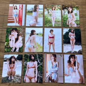 高田秋　Ｌ版写真１２枚セット