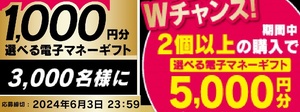 懸賞 応募券　２個分　( PayPay　他、えらべるギフト　5000円、1000円