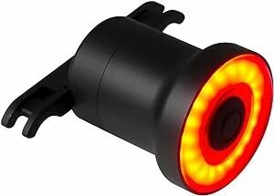 GORIX ゴリックス 自転車ライト テールライト AUTO 防水 自動点灯 ブレーキ点灯 明るい USB充電 自転車リアライト(GX-TL100) g-5